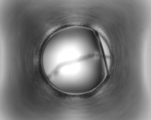 X0000086990483200704301340