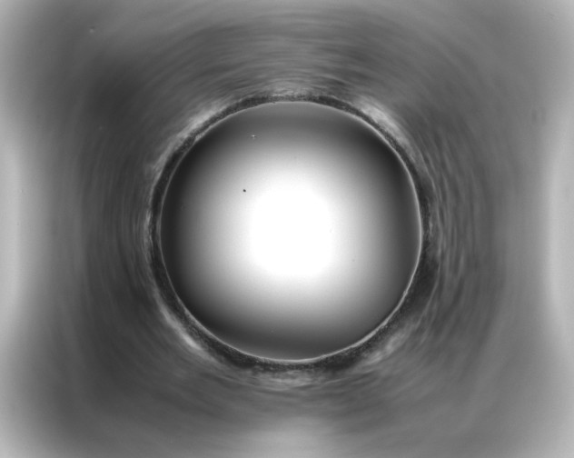 X0000086990485200704301340