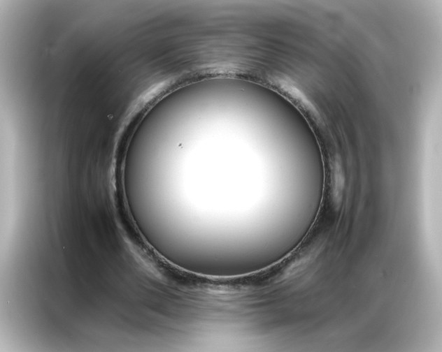 X0000086990486200704301340