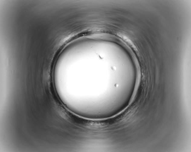 X0000086990487200704301340