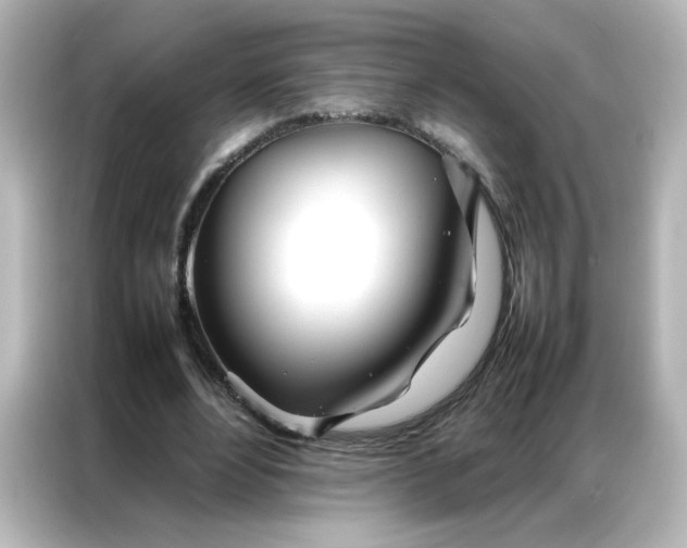 X0000086990488200704301340