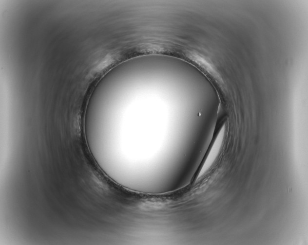 X0000086990489200704301340