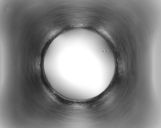 X0000086990490200704301340