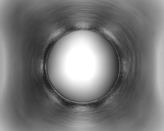 X0000086990494200704301340