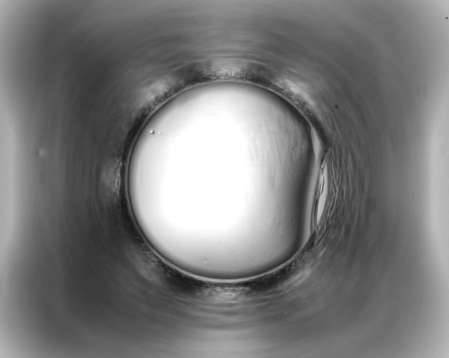 X0000086990495200704301340