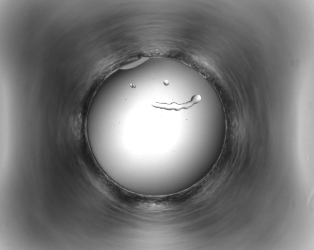 X0000086990498200704301340