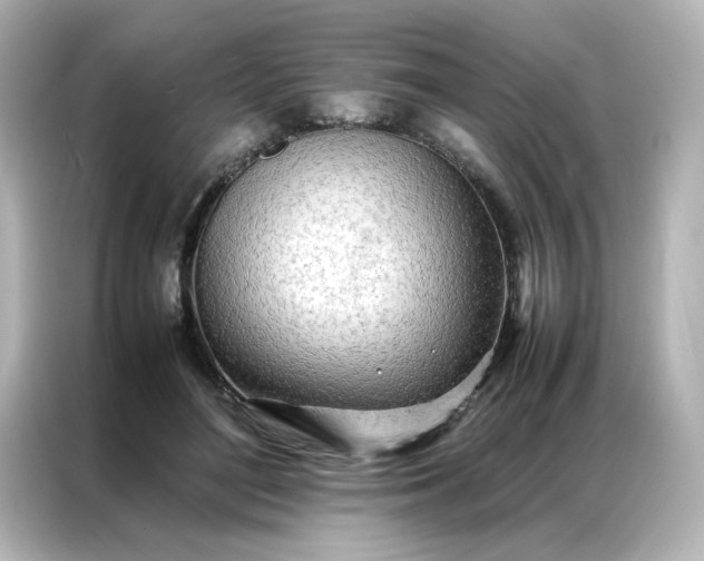 X0000086990500200704301340