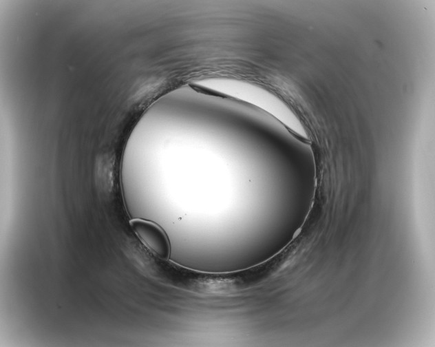 X0000086990501200704301340