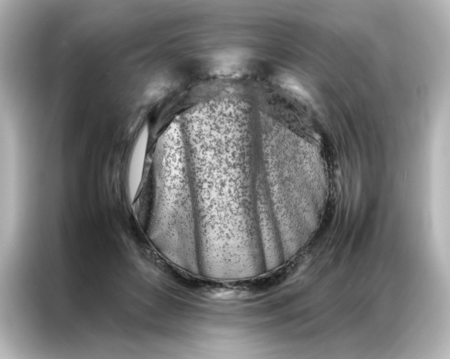 X0000086990504200704301340