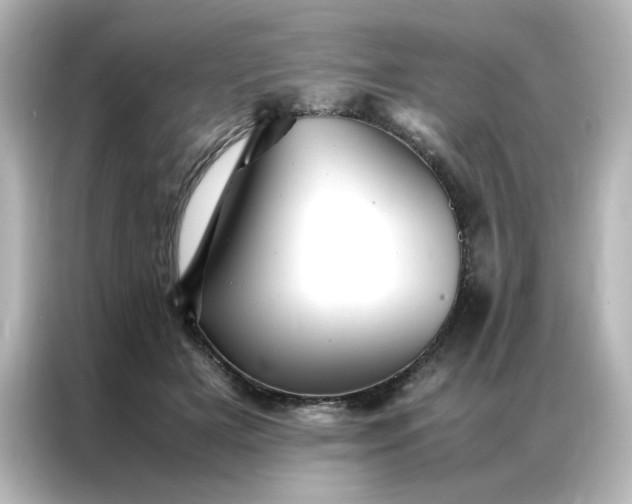 X0000086990505200704301340