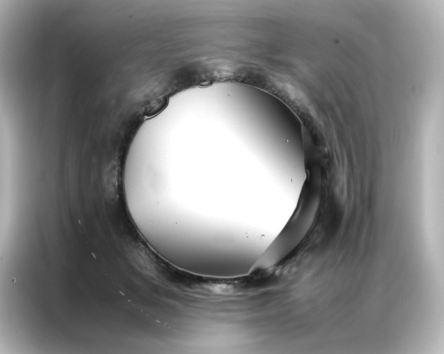 X0000086990509200704301340