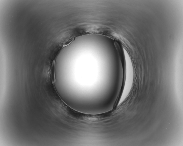 X0000086990513200704301340