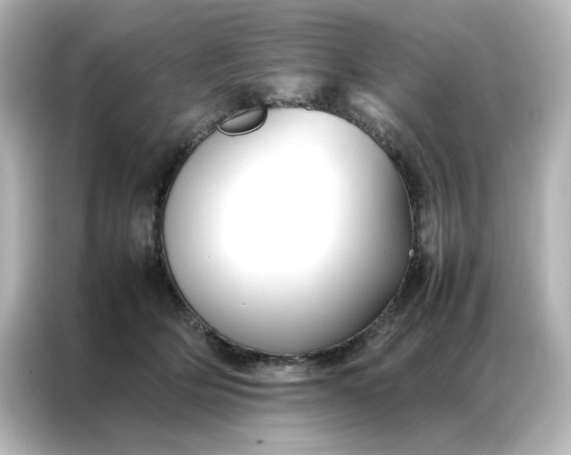 X0000086990514200704301340