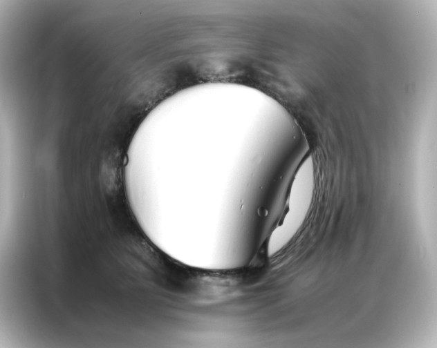 X0000086990515200704301340