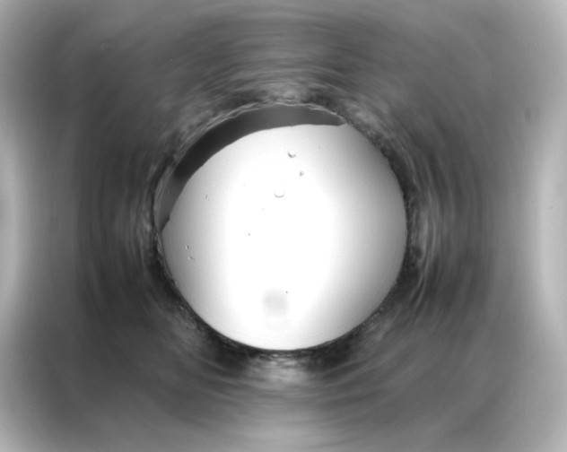 X0000086990518200704301340