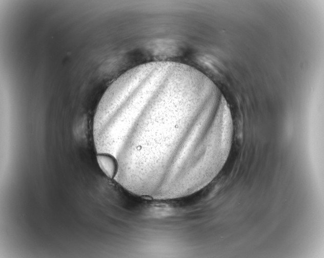 X0000086990519200704301340