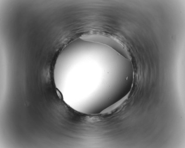 X0000086990520200704301340