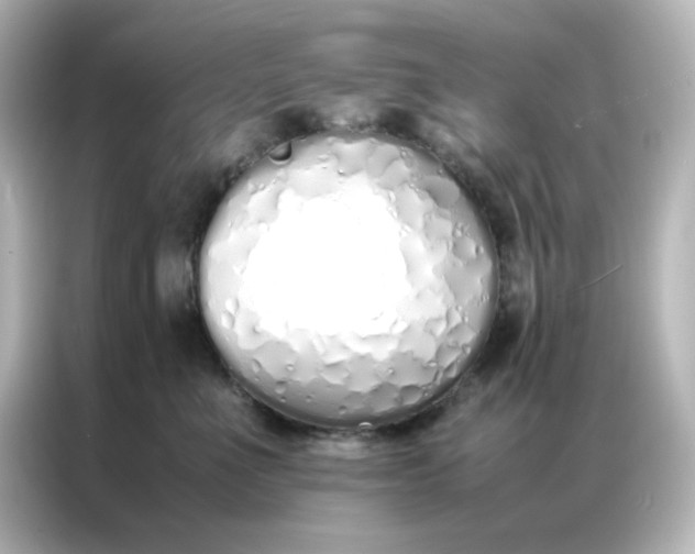 X0000086990523200704301340