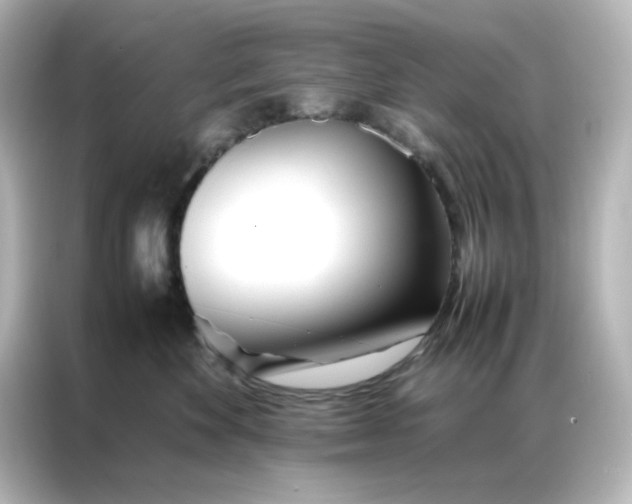 X0000086990524200704301340