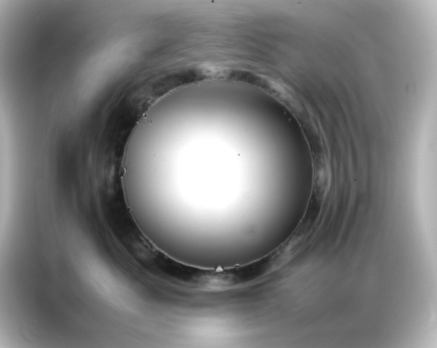 X0000086990525200704301340