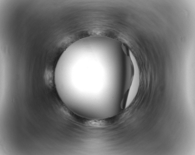 X0000086990526200704301340