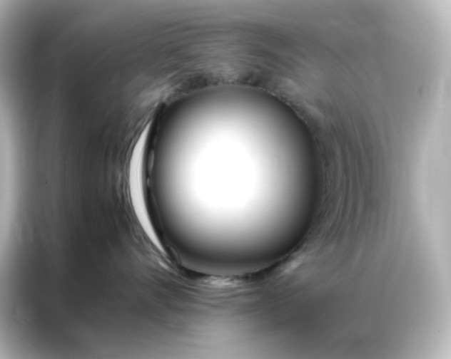 X0000086990528200704301340