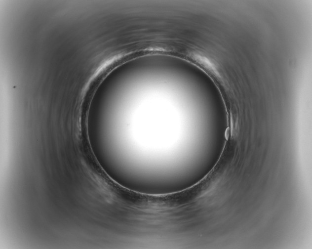 X0000086990531200704301339