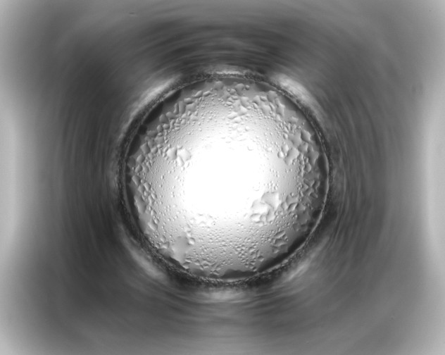 X0000086990533200704301339