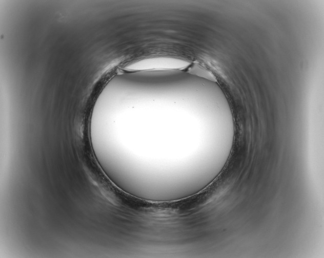 X0000086990539200704301339