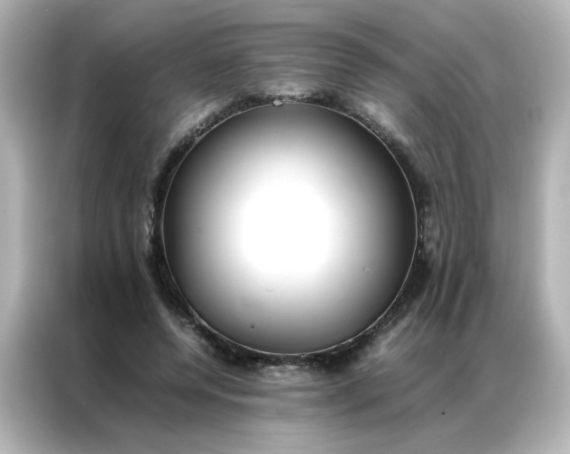 X0000086990544200704301339