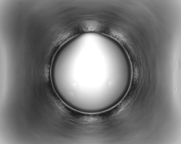 X0000086990545200704301339