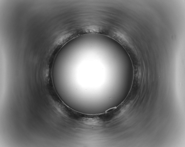 X0000086990548200704301340