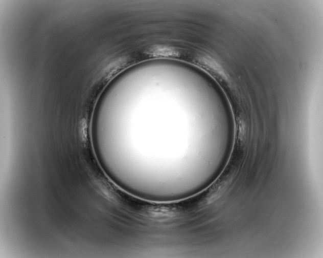 X0000086990549200704301340