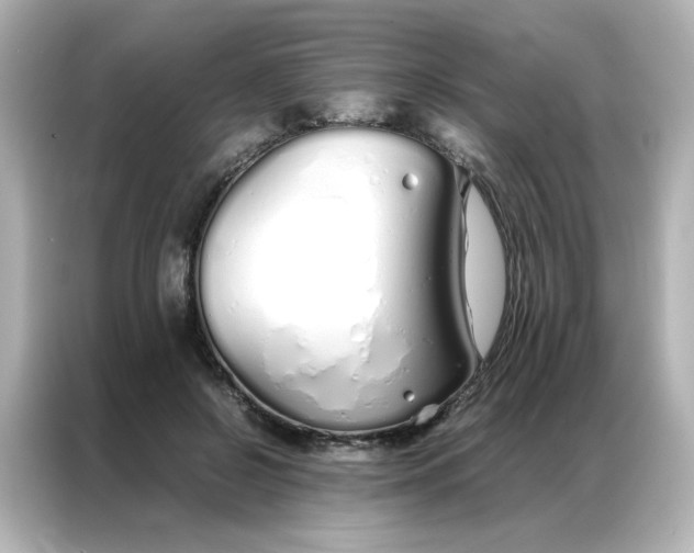 X0000086990550200704301340