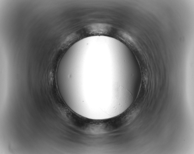 X0000086990551200704301340