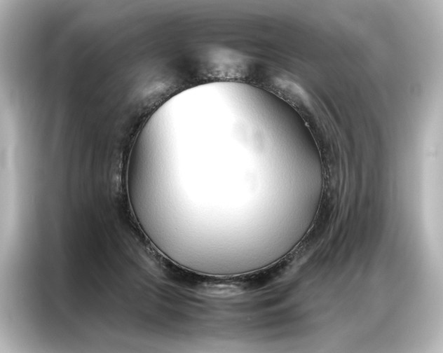 X0000086990553200704301340