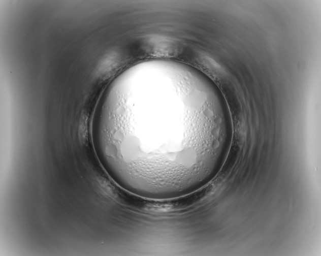 X0000086990554200704301340