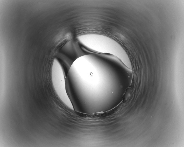 X0000086990556200704301340