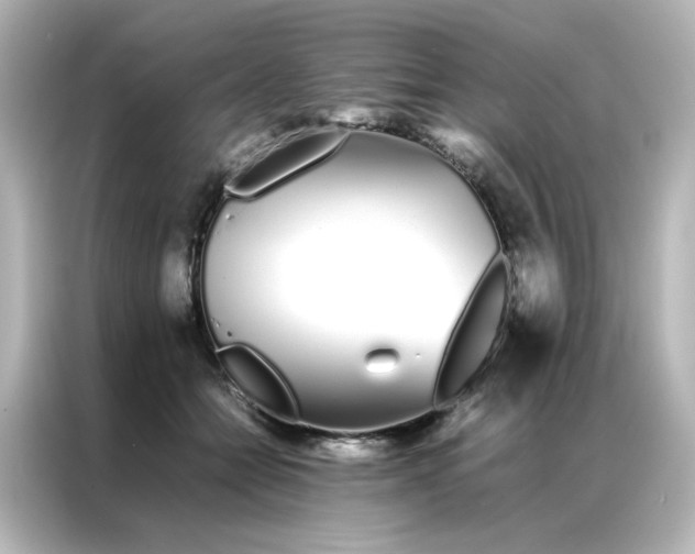 X0000086990558200704301340