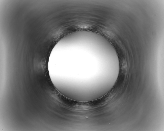 X0000086990559200704301340