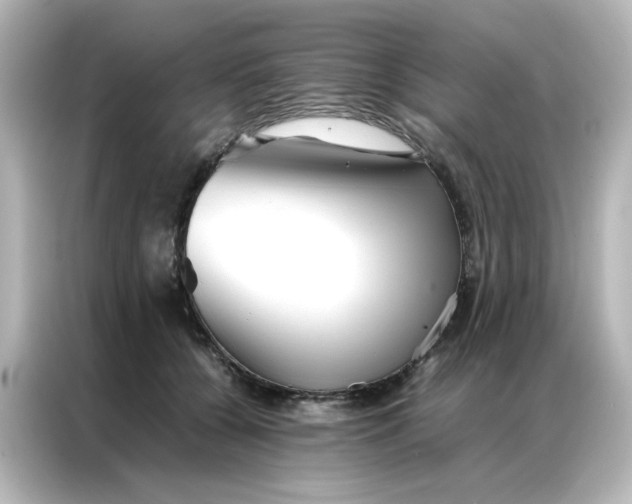 X0000086990560200704301340