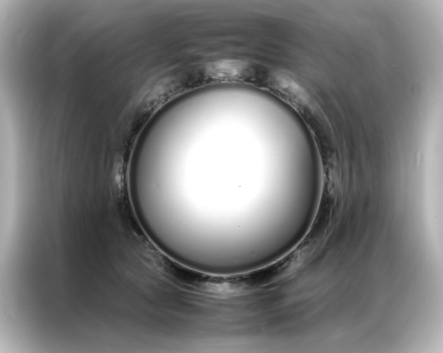 X0000086990561200704301340