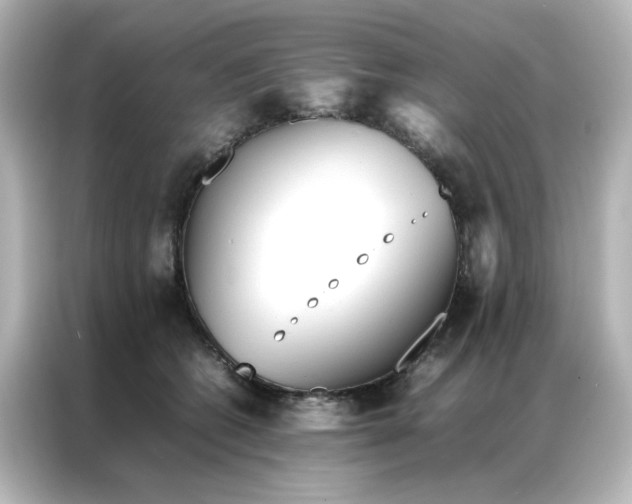 X0000086990562200704301340