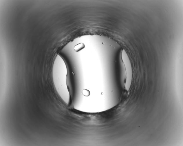 X0000086990566200704301340