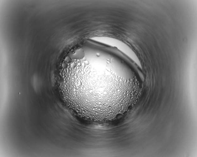 X0000086990569200704301340