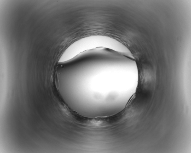 X0000086990570200704301340