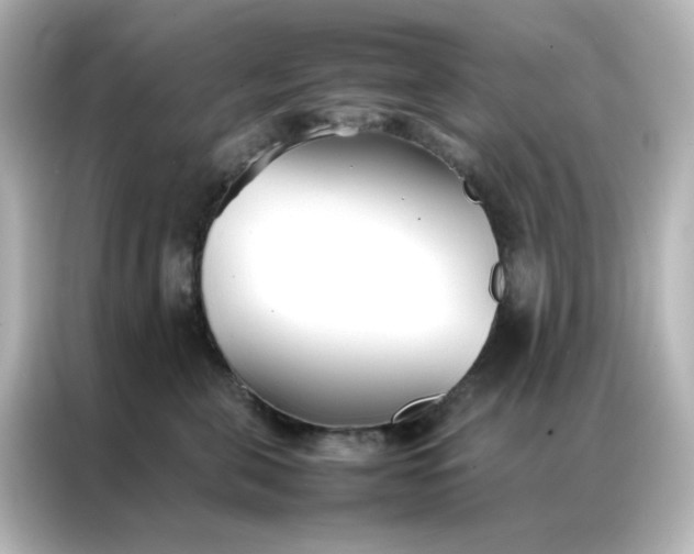 X0000086990571200704301340