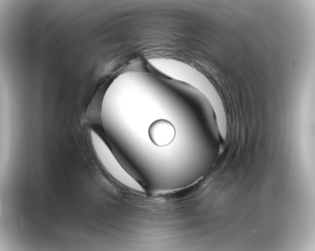 X0000086990572200704301340