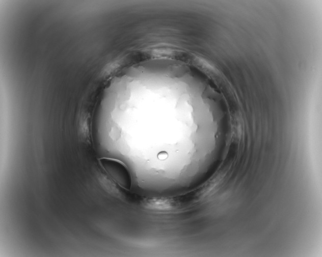 X0000086990573200704301340