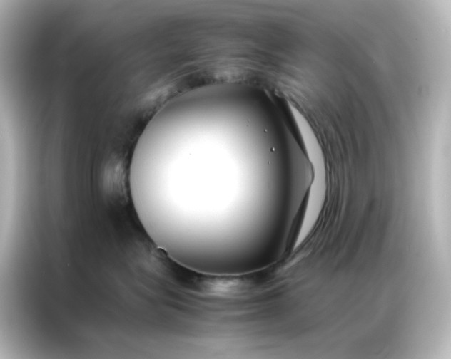 X0000086990575200704301340